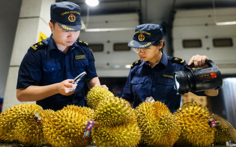 柬埔寨榴莲取代越南泰国