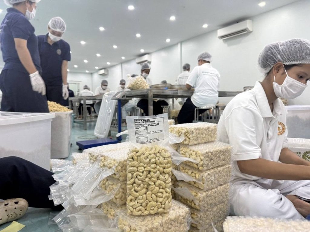从出口原料到出口成品，柬埔寨腰果企业冲刺英国市场