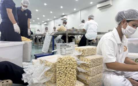 从出口原料到出口成品，柬埔寨腰果企业冲刺英国市场