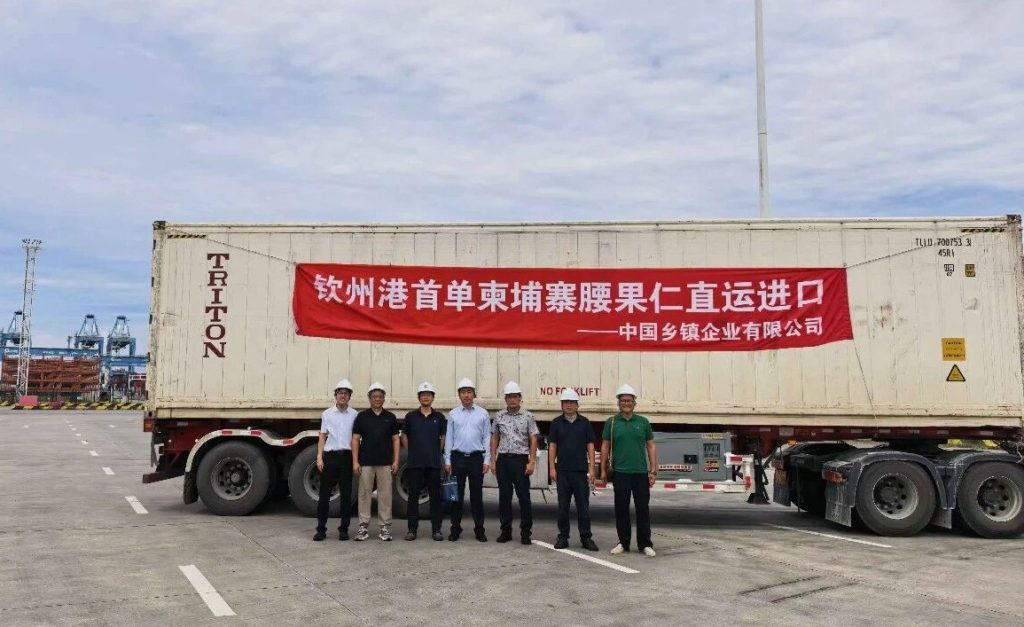 柬埔寨本土加工腰果仁首次直运广西钦州港