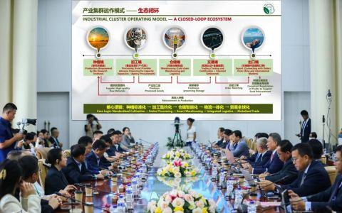 逾百家中国机构企业考察柬埔寨农业投资机会