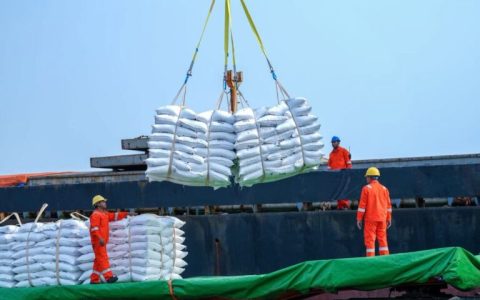 柬埔寨对菲大米出口快速增长，今年有望突破20万吨