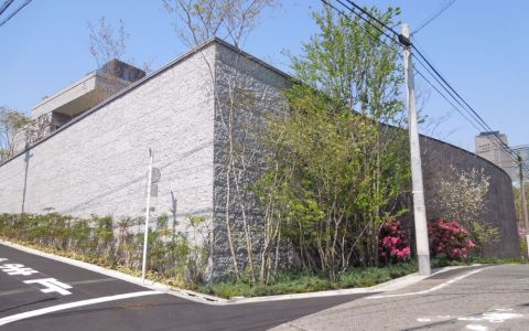 日媒：陈志被指购入东京60亿日元豪宅